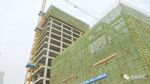 黃陂區(qū)融媒體中心大樓主體工程順利封頂，二期建設(shè)即將全面展開(kāi)